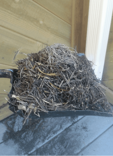 Storm Drainage System