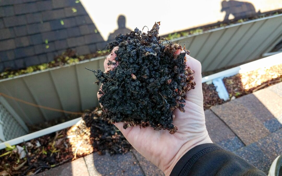 It’s Fall – Time to Clean Your Gutters